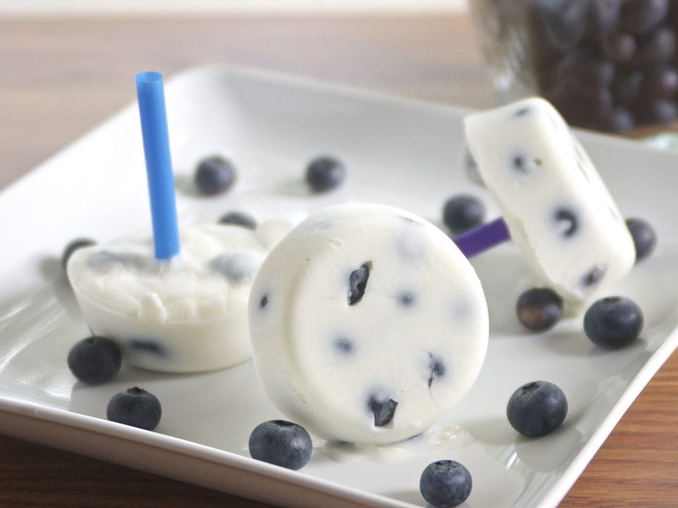Blueberry Frozen Yogurt Pops