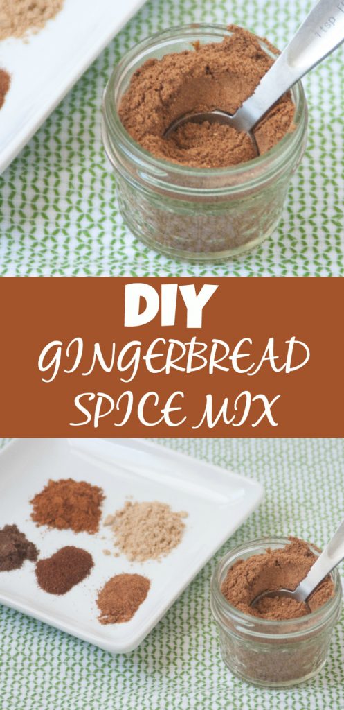 Gingerbread Spice Mix 