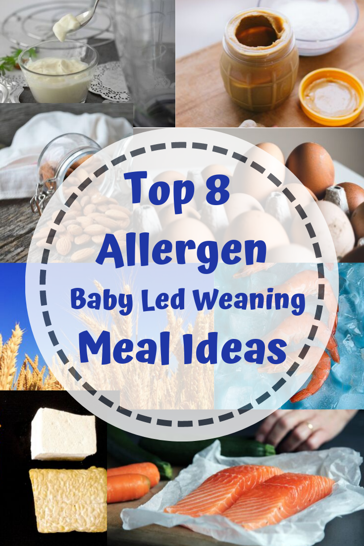 BABY-LED WEANING: Everything you need to know about baby led weaning: when  and how to start, foods to avoid, identifying allergies , understanding