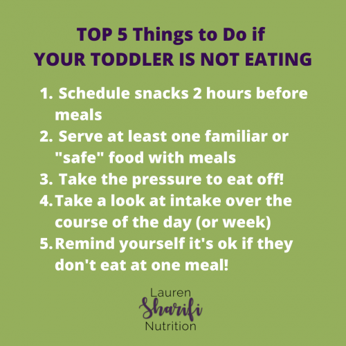 Your Toddler is Not Eating, Now What? - Lauren Sharifi Nutrition