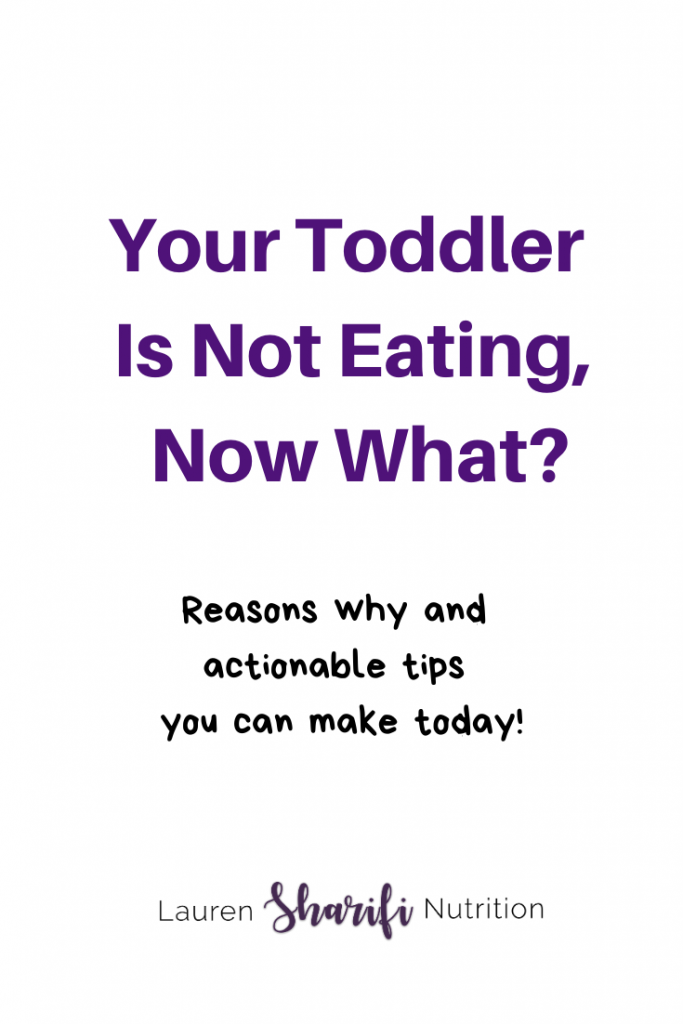 Your Toddler is Not Eating, Now What? - Lauren Sharifi Nutrition