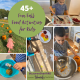 Fall Food Activities for Kids and Preschoolers